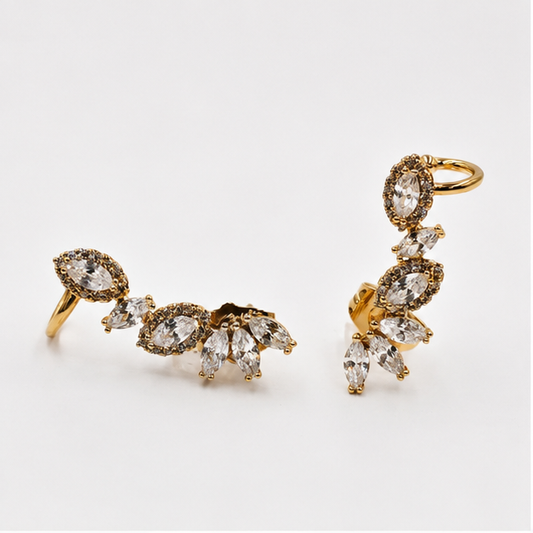 Aretes Trepadores Crystal Bloom